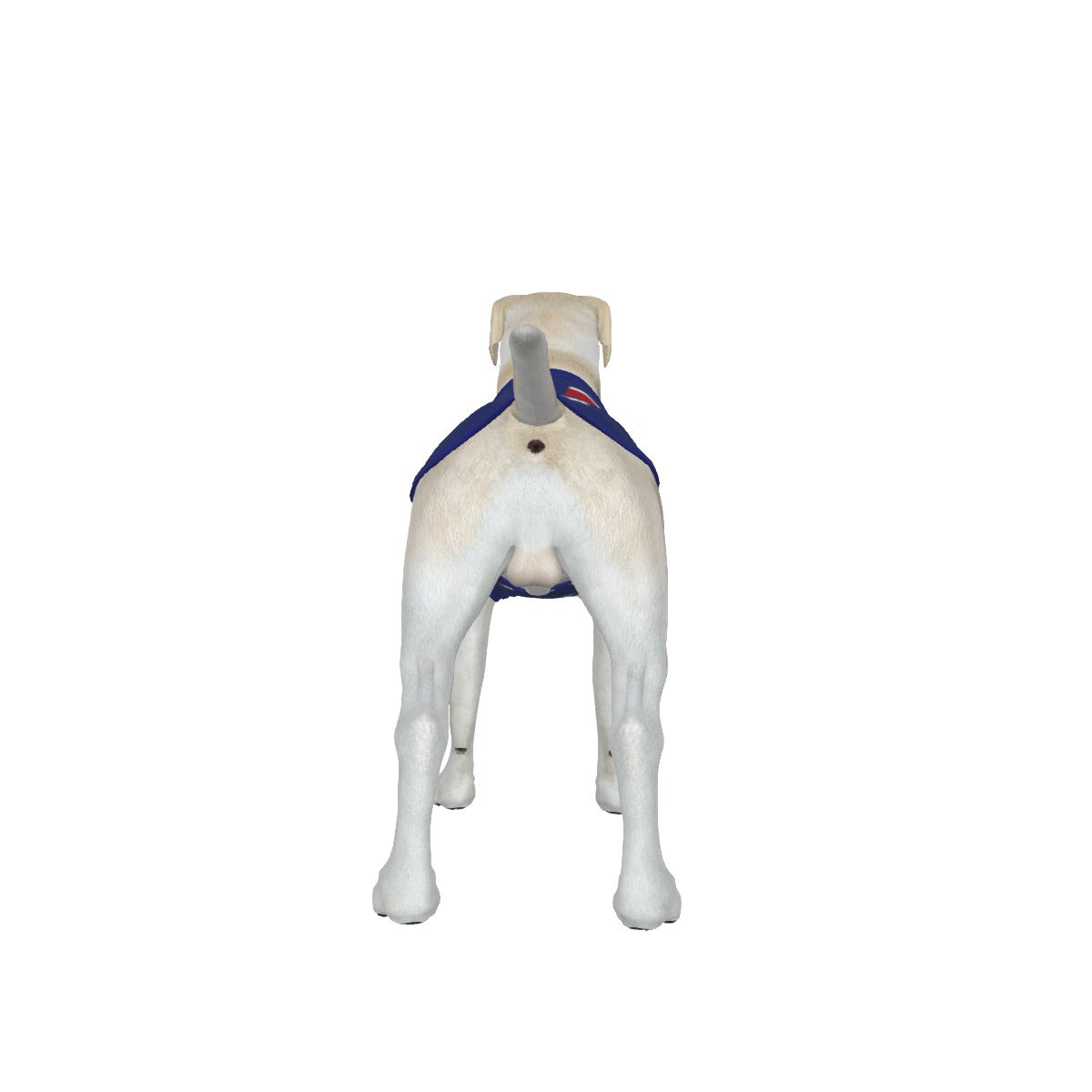 AUS- Anti Woke Pets - Big Dog's Tank Top